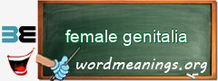 WordMeaning blackboard for female genitalia